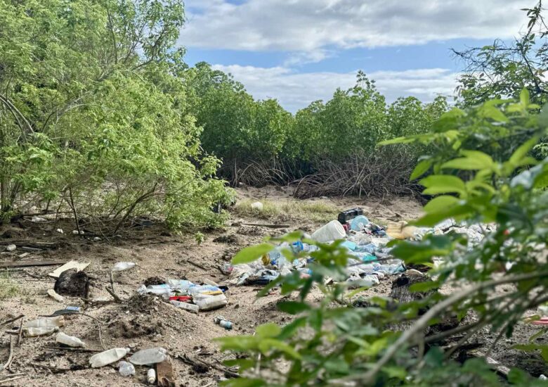 Fiji Day Message: PRF Calls for a Nation Built on Environmental Resilience