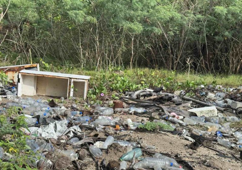 Plastic on Every Coastline Is a Warning: Fiji Needs a Waste System That Works From the Ground Up